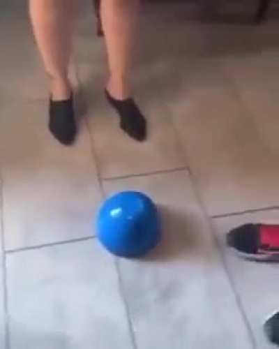 Doguinho m&aacute;gico