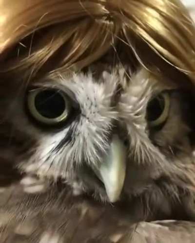 She is S&hellip;.