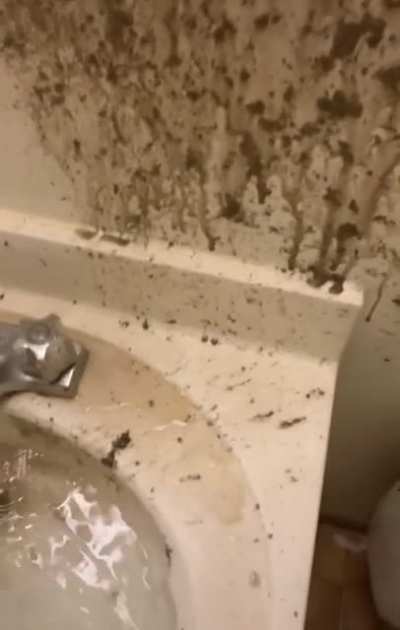 Unclogging the sink drain