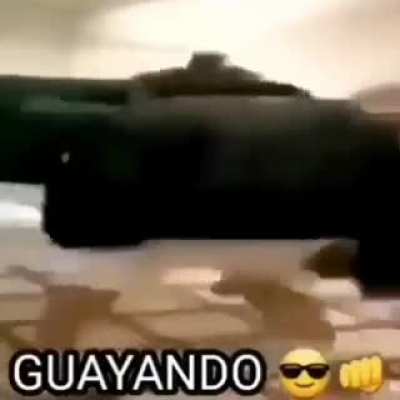 guayando 😎👊