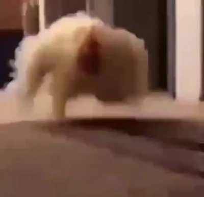 😨