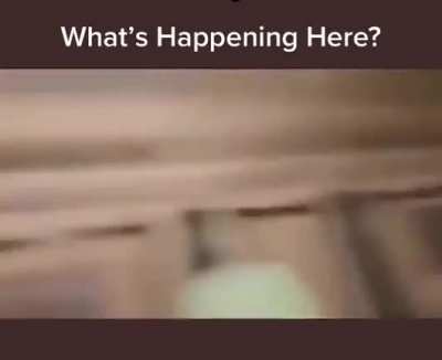 !!!What's happening here???