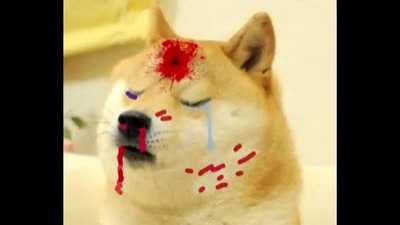 Laugh at the funny yellow dog