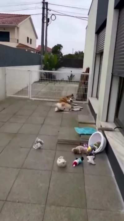 Maybe maybe maybe