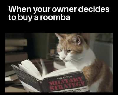 Guerilla Meowfare