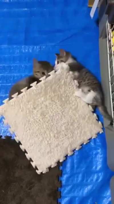 These 2...