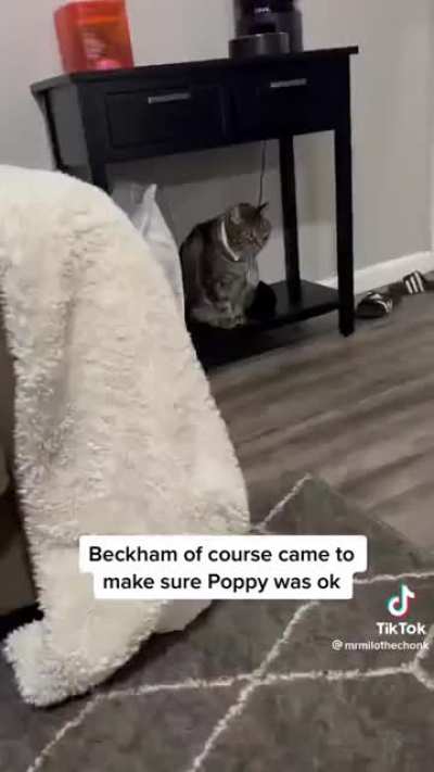 The end caught me off guard