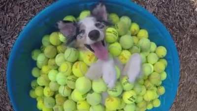 Buried In Balls