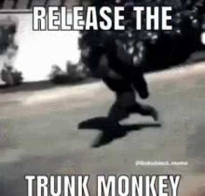 Free him