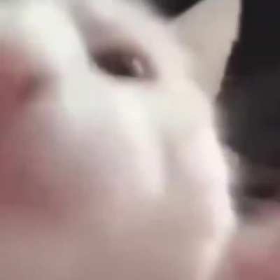 me_irl
