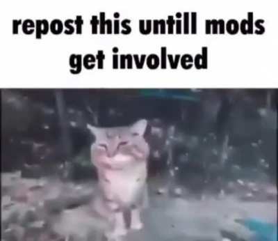I&rsquo;m 15 and this is yeet