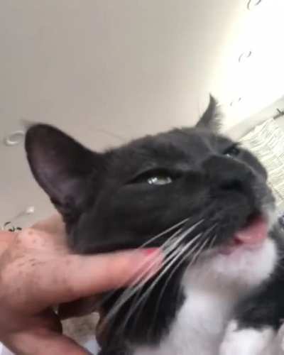 Why