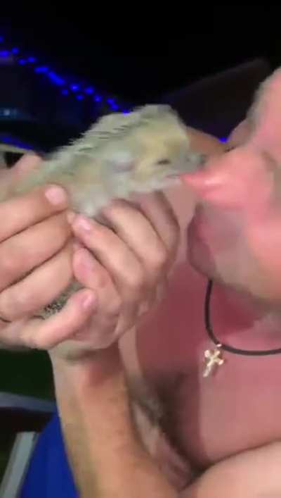 🦔 bites 👃
