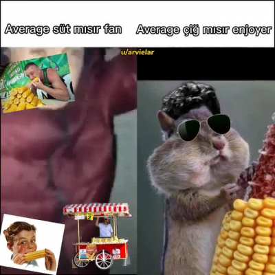 Haha &ccedil;iğ mısır go brr (yazım yanlışından dolayı d&uuml;zeltip tekrar attım)