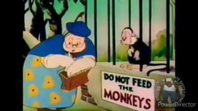 N&atilde;o alimente macacos