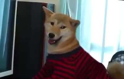I&rsquo;m always winning hooman.