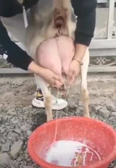 hmmmm