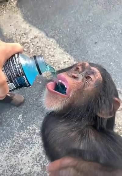 Monke Gatorade