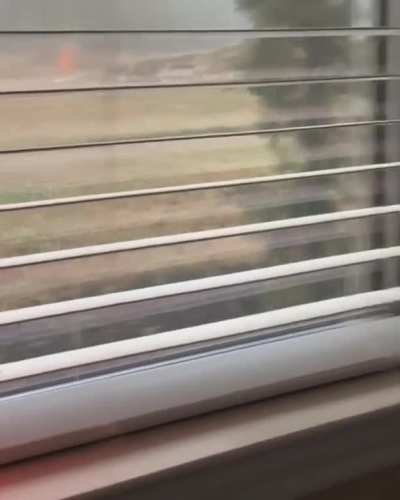 Dog.exe has experienced an unexpected crash