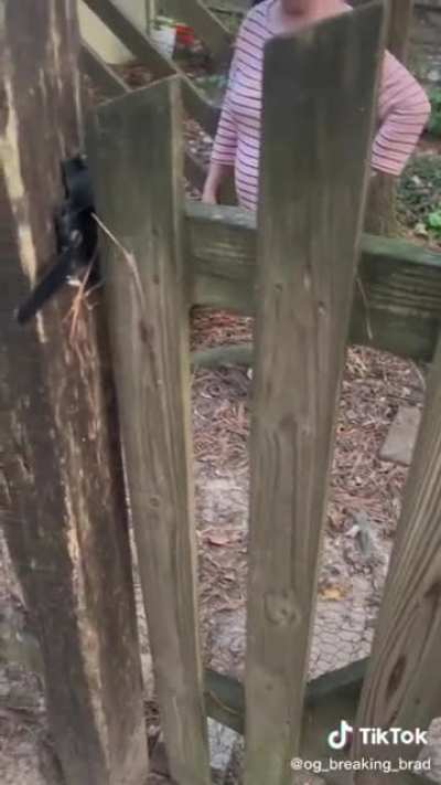 Karen demands that neighbor puts a leash on his dog in his own fenced in yard