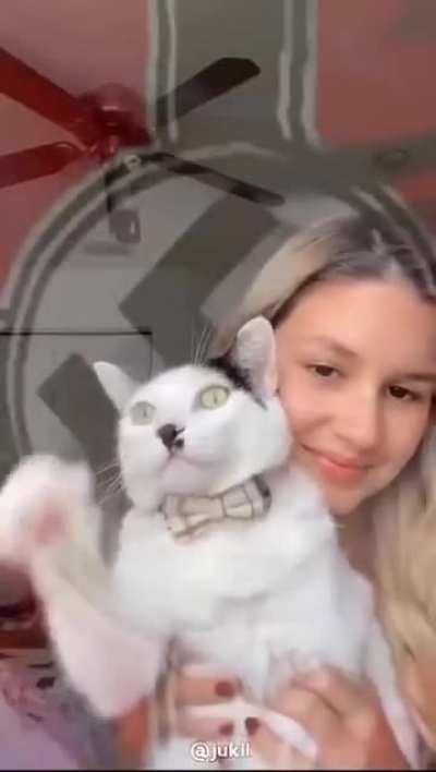 Most German cat