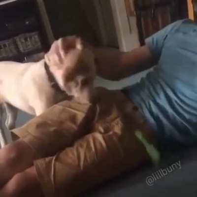 F