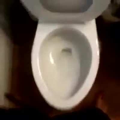 Bruh