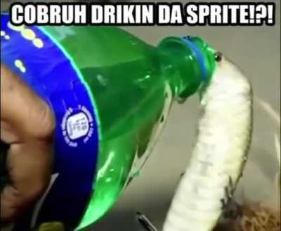Bruh