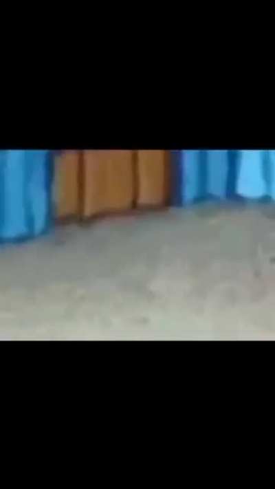 Wat