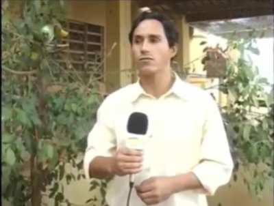 o papagaio d&aacute; at&eacute; risada