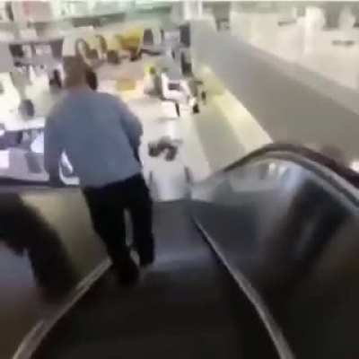 Esse &eacute; o melhor v&iacute;deo da internet