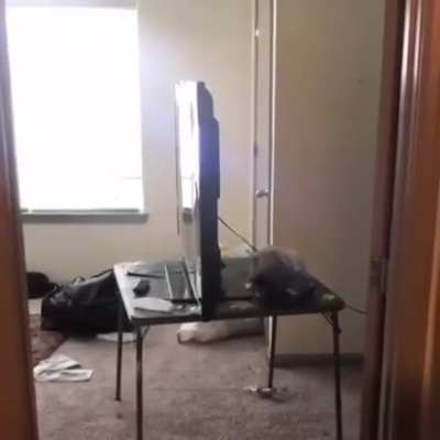 &lrm;