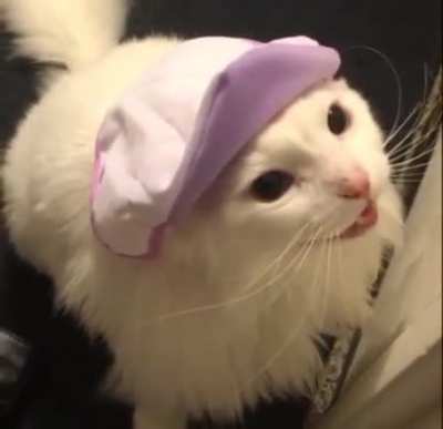 Nice hat, Thurston!