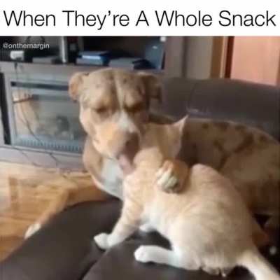 Just Can&rsquo;t Help It