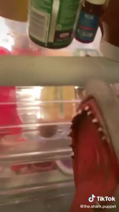 An Interesting scream
