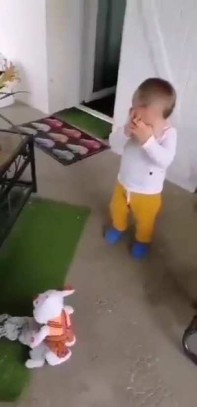 Toy story gone wrong