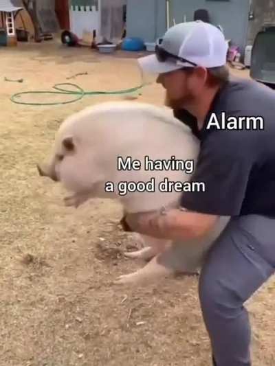 sad reality