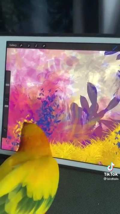 Bird artist