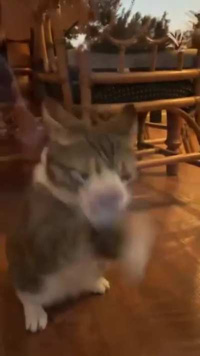 😄😄😄