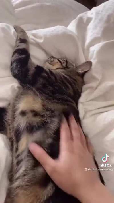 A trip to the vet