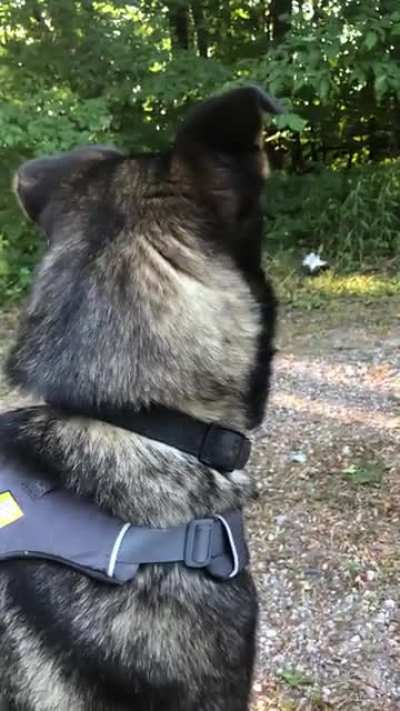 I left to take his brother on a 4 wheeler ride without him. My husband filmed the reaction&hellip; (posted this a while ago but just found this awesome sub!)