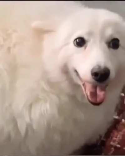 Fluff