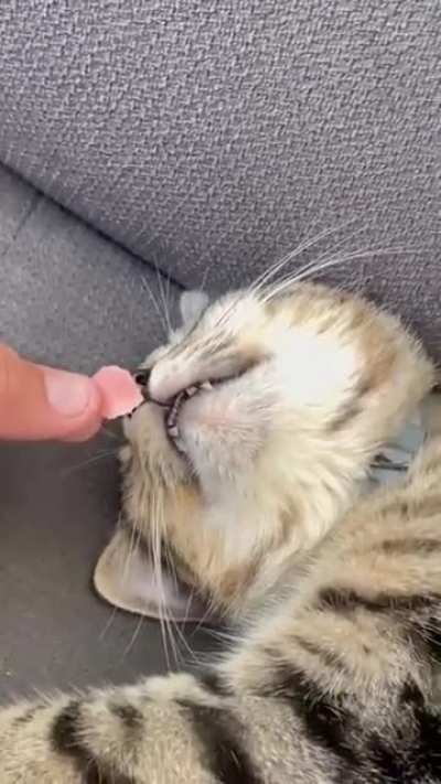 Maybe Maybe Maybe
