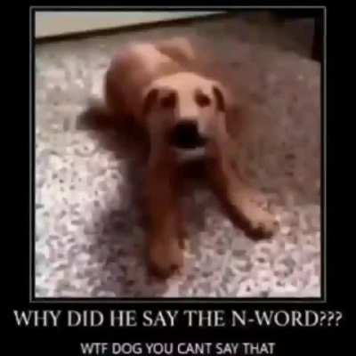 N-word