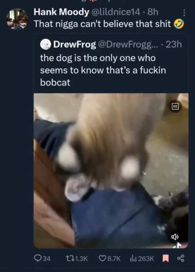 The dog is like: "I know y'all see this shit!"
