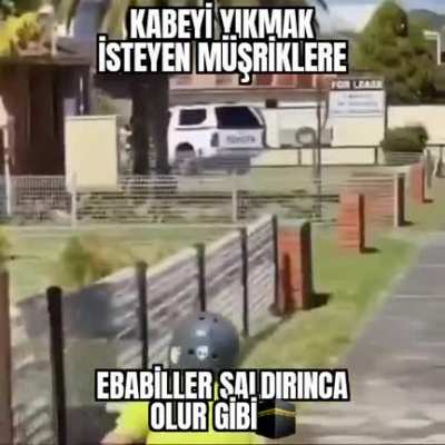 Olamaz dostum bu kuşlar taş taşıyor😱😱😱