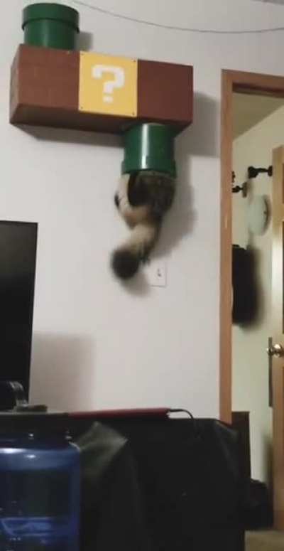 oh lawd he made it!