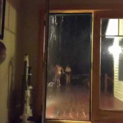 Running in rain