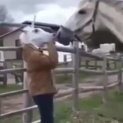 Surprise!