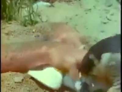 Falcon Capture